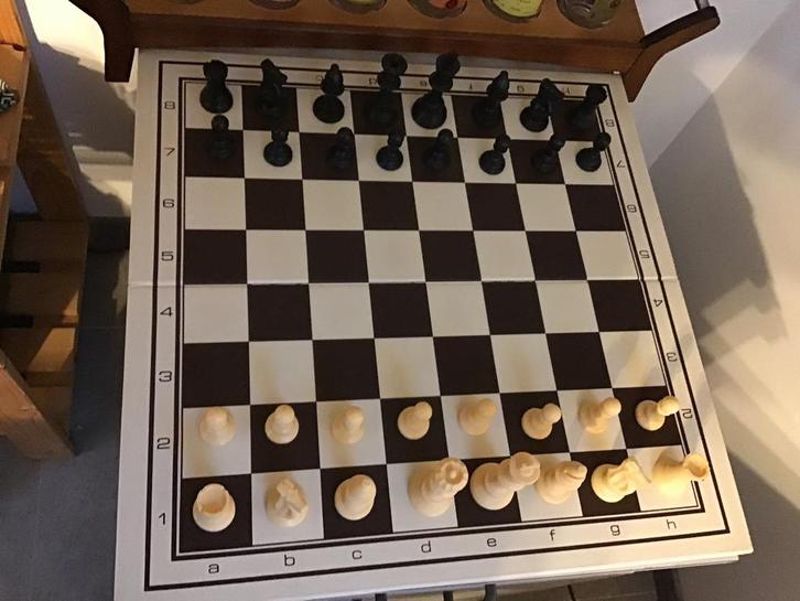 Groot schaakspel met vouwbord en verzwaarde vinyl stukken., Hobby en Vrije tijd, Gezelschapsspellen | Bordspellen, Zo goed als nieuw