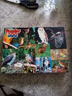 Puzzle  tout  un ensemble  oiseaux  en 1, Hobby & Loisirs créatifs, Comme neuf, Puzzle, Enlèvement ou Envoi