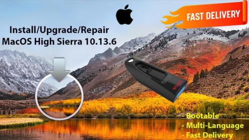 macOS High Sierra 10.13.6 via USB-Stick zonder DVD OSX OS X, Computers en Software, Besturingssoftware, Nieuw, MacOS, Verzenden