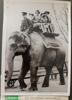 Oude persfoto 1939 Britse Royals, Audio, Tv en Foto, Overige Audio, Tv en Foto, Ophalen of Verzenden, Zo goed als nieuw