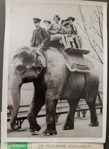 Oude persfoto 1939 Britse Royals beschikbaar voor biedingen