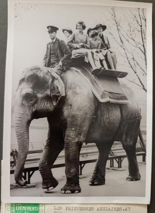 Oude persfoto 1939 Britse Royals, Audio, Tv en Foto, Overige Audio, Tv en Foto, Zo goed als nieuw, Ophalen of Verzenden