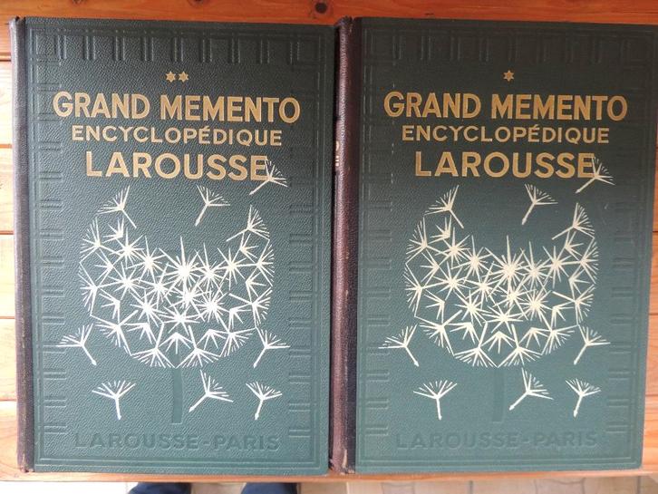 Livres à 60 € - Grand Memento encyclopédique Larousse, Livres, Encyclopédies, Médecine, Enlèvement