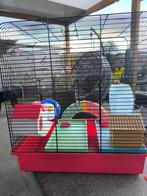 Hamster gerbil knaagdieren kooi, Dieren en Toebehoren, Ophalen, Zo goed als nieuw, Kooi, Hamster