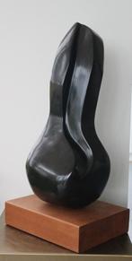 Cis VAN PEER, schaduwkind, Enlèvement