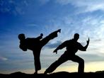 ERVAREN SPORTINSTRUCTEUR, Sport en Fitness, Vechtsporten en Zelfverdediging, Ophalen of Verzenden, Karate