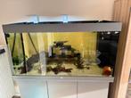 Juwel aquarium 450 liter, Dieren en Toebehoren, Ophalen, Zo goed als nieuw