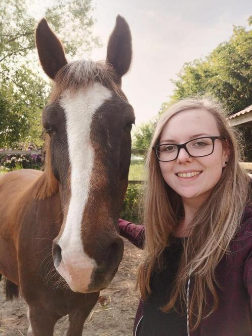 Weidemaatje op zoek naar nieuwe thuis, Dieren en Toebehoren, Paarden, Ruin, Niet van toepassing, Minder dan 160 cm, 11 jaar of ouder