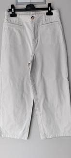 broek Tom Tailor    S, Overige kleuren, Maat 36 (S), Lang, Gedragen