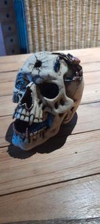 skull , doodshoofd , doodskop, Enlèvement, Comme neuf, Autres types