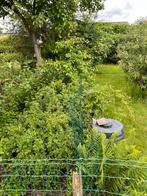 Gezocht: Tuinman met klein graafmachine voor tuinwerken, Tuin en Terras, Ophalen, 20 m² of meer, Gras