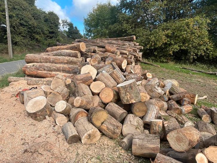 Hard en droog brandhout, Tuin en Terras, Brandhout, Blokken, Beukenhout, 6 m³ of meer, Ophalen
