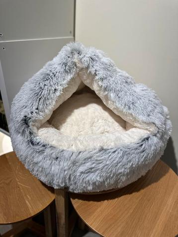 Kattenkussens beschikbaar voor biedingen