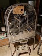 grote vogelkooi, Dieren en Toebehoren