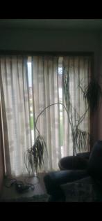 Gordijnen, Huis en Inrichting, Ophalen of Verzenden, Gebruikt, Wit