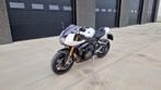 Speed Triple 1200 RR met verlengde fabrieksgarantie, 1160 cm³, Particulier, Super Sport, Plus de 35 kW