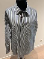 Tommy hilfiger xl, Kleding | Heren, Grote Maten, Ophalen of Verzenden