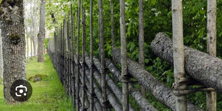 Gezocht dike lange takken, Tuin en Terras, Overige Tuin en Terras, Gebruikt, Ophalen
