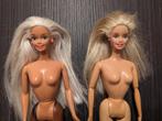 Barbie Ocean Friends + Kennel Care, Collections, Comme neuf, Enlèvement ou Envoi