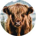 Muurcirkel Hooglander, Ophalen of Verzenden, Nieuw