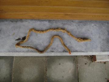 Leverbanden of halsbanden, Dieren en Toebehoren, Runderen