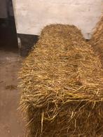 Hooi van uitstekende kwaliteit – 1e snee (70x80 x 200 cm), Dieren en Toebehoren, Ophalen, Vee