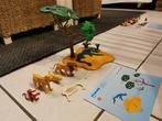Playmobil 4830 Famille de lions avec singes, Ophalen, Gebruikt, Complete set