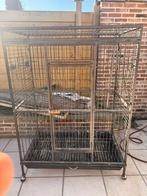 Cage perroquet, Animaux & Accessoires, Oiseaux | Cages & Volières, Enlèvement, Utilisé