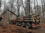 Brandhout stammen Beuk en Eik, 6 m³ of meer, Verzenden, Beukenhout, Stammen