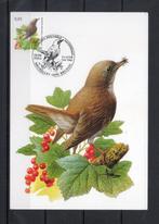 Année 2004 : Carte maximum 3264 - Oiseaux - Rossignol philom, Enlèvement ou Envoi
