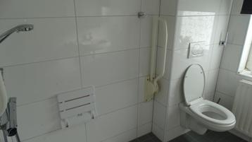 hulpmateriaal badkamer/ toilet.  douchezit - toiletbeugel  beschikbaar voor biedingen