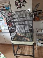 Grote kooi voor grotere vogels 175 euro, Dieren en Toebehoren, Ophalen of Verzenden