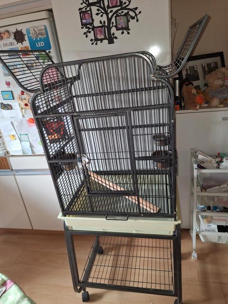 Grote kooi voor grotere vogels 175 euro, Dieren en Toebehoren, Vogels | Hokken en Kooien, Ophalen of Verzenden