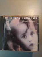 CD. Les Black Sorrows. Des temps meilleurs., Comme neuf, Enlèvement ou Envoi