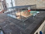 Hamster of cavia, Ophalen, Zo goed als nieuw, Hamster