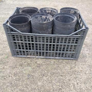 Bloempotten beschikbaar voor biedingen