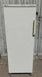 Diepvries Ignus A+, Elektronische apparatuur, Vriezers en Diepvrieskisten, Ophalen, Zo goed als nieuw