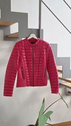 Guess gewatteerd jasje maat M, Enlèvement ou Envoi, Neuf, Taille 38/40 (M), Rouge