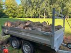 Es te koop, in blokken of gekliefd, Tuin en Terras, Brandhout, Ophalen, Blokken