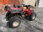 Quad smc 200 cc