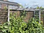 Tuinboog, Tuin en Terras, Ophalen, Gebruikt, Tuin