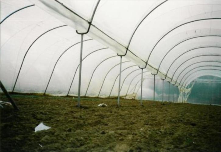 Tunnelserre, Tuin en Terras, Bergingen en Tuinkasten, Gebruikt, Overige typen, Metaal, Ophalen