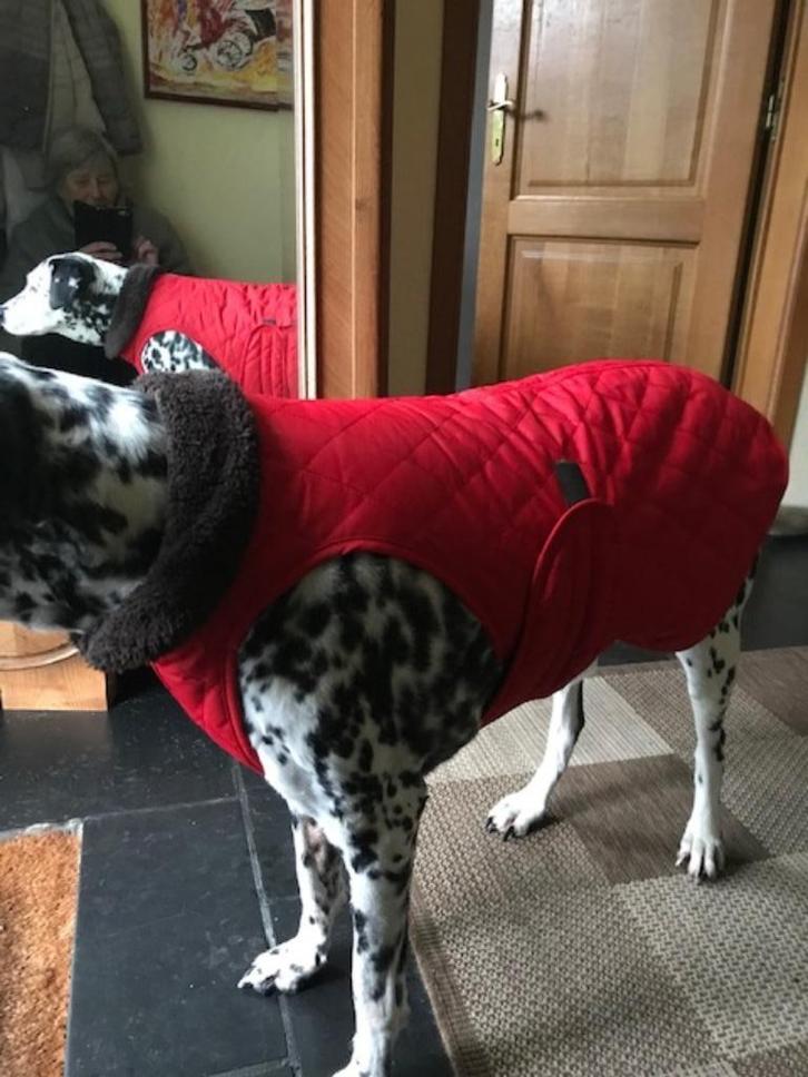Hondenjasjes medium/large, Dieren en Toebehoren, Honden-accessoires, Zo goed als nieuw, Ophalen