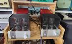 Triode Corporation TRV-M300SE monoblok buizenversterkers, Ophalen, Versterker