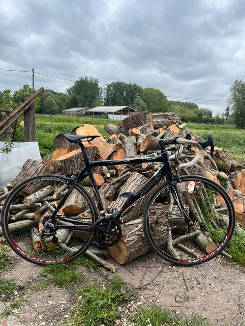 Ridley Orion frame 49-53, Fietsen en Brommers, Fietsen | Racefietsen, Gebruikt, Dames, Overige merken, 15 tot 20 versnellingen