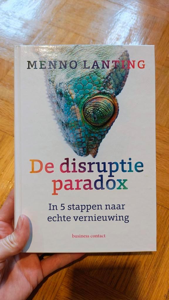 Menno Lanting - De disruptieparadox, Boeken, Wetenschap, Zo goed als nieuw, Ophalen of Verzenden