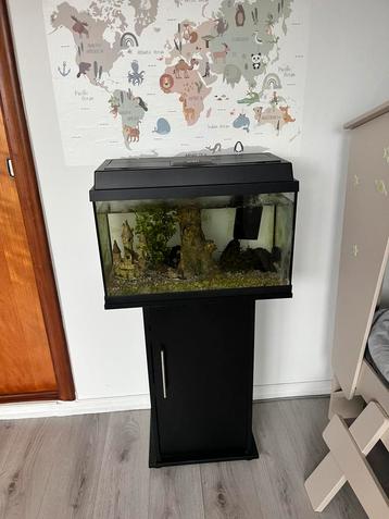 Juwel aquarium 60l beschikbaar voor biedingen