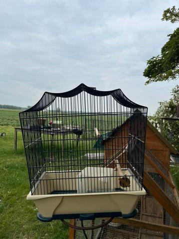 Vogelkooi beschikbaar voor biedingen