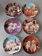 Ensemble unique de 6 assiettes Royal Doulton Golden Retrieve, Enlèvement ou Envoi, Comme neuf, Porcelaine, Assiette ou Plat