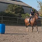 Lieve recreatiemerrie te koop, Dieren en Toebehoren, Merrie